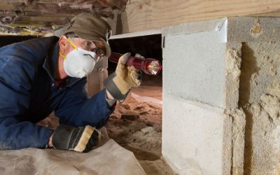 Termite Nests